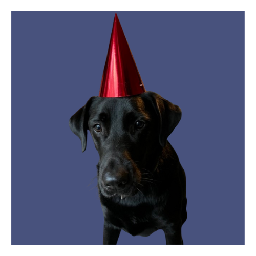 Oskar hat Geburtstag