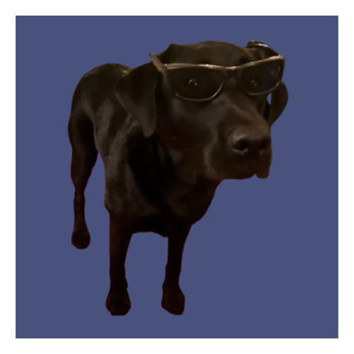 Oskar mit Brille